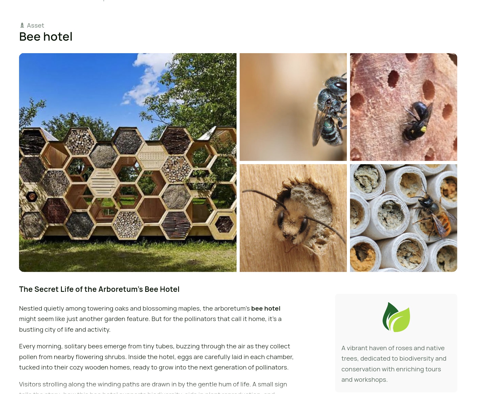 Highlight garden features