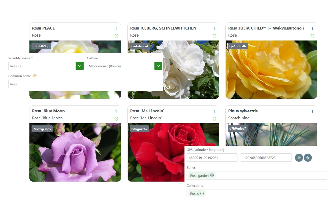Organize your plant collections