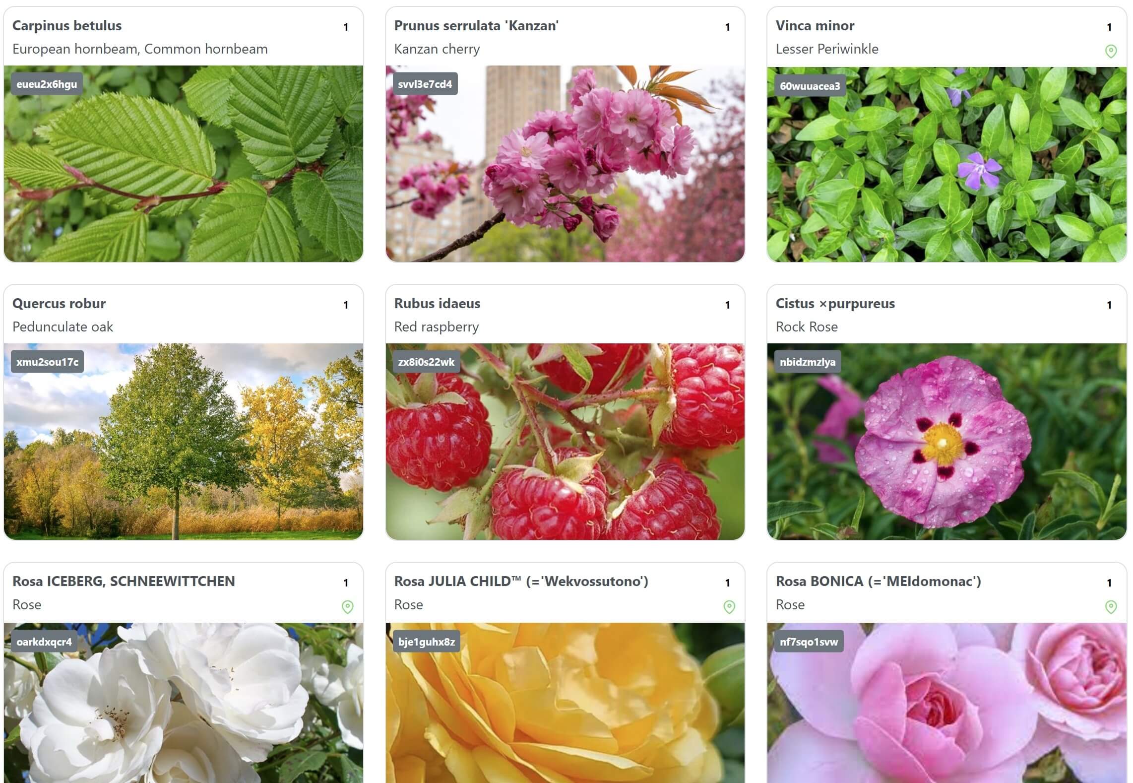 Smart plant labels to tell the full story