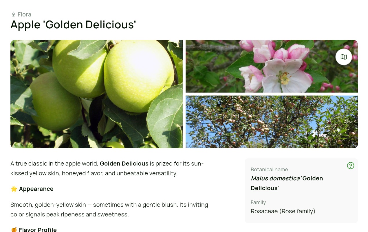 Immersive plant storytelling