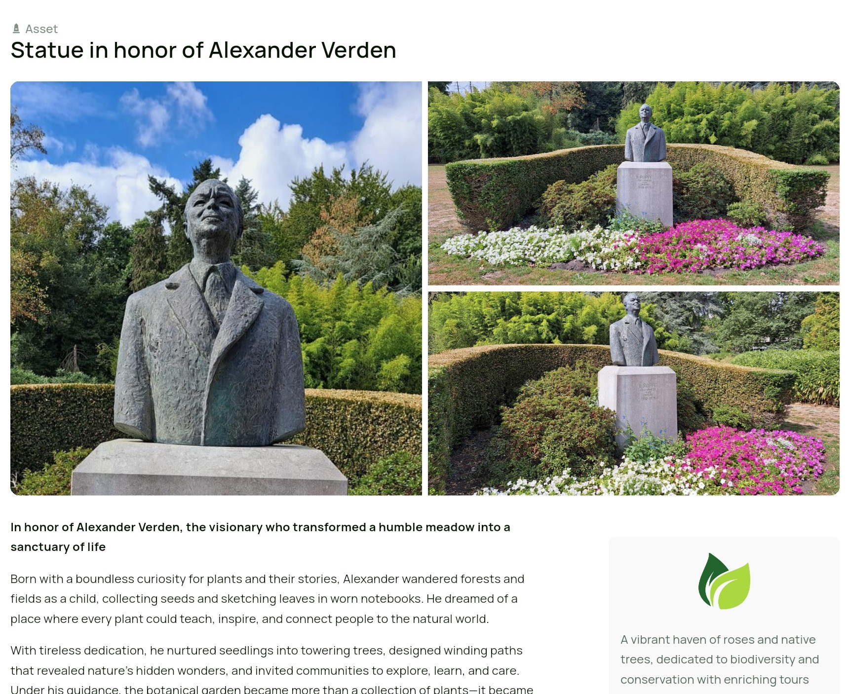 Highlight garden features