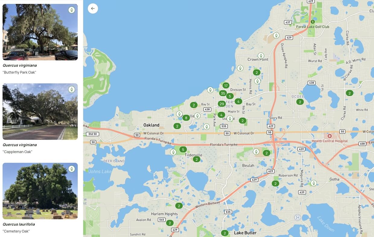 Showcase your public green space
