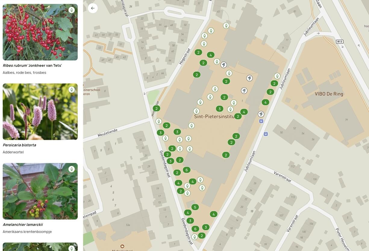 Showcase your school garden