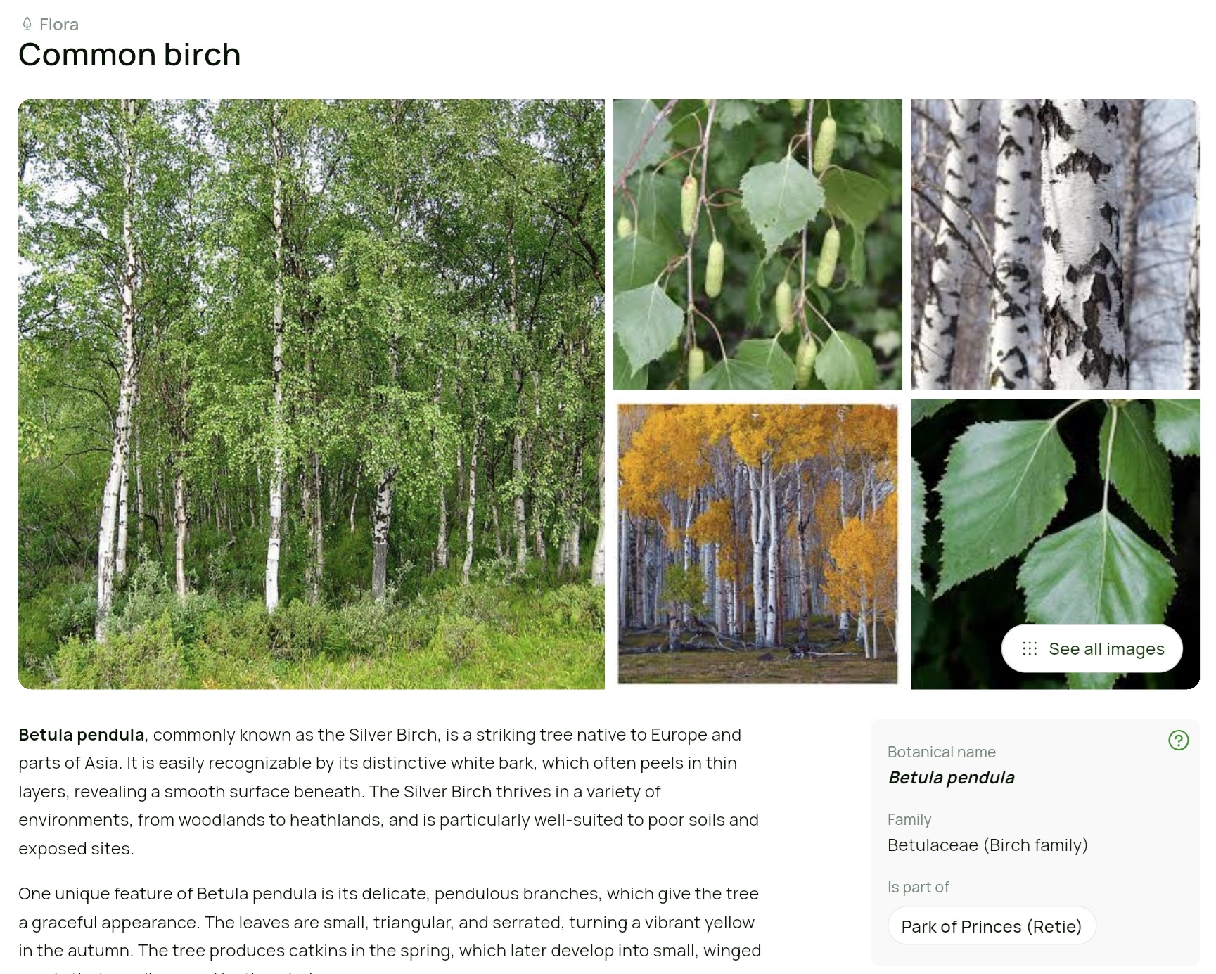 Immersive plant storytelling