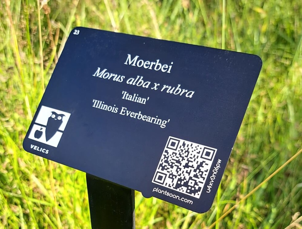 QR code plant labels