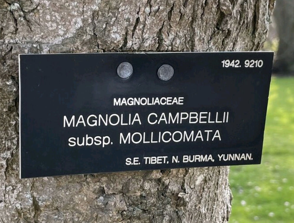 Traditional plant labels