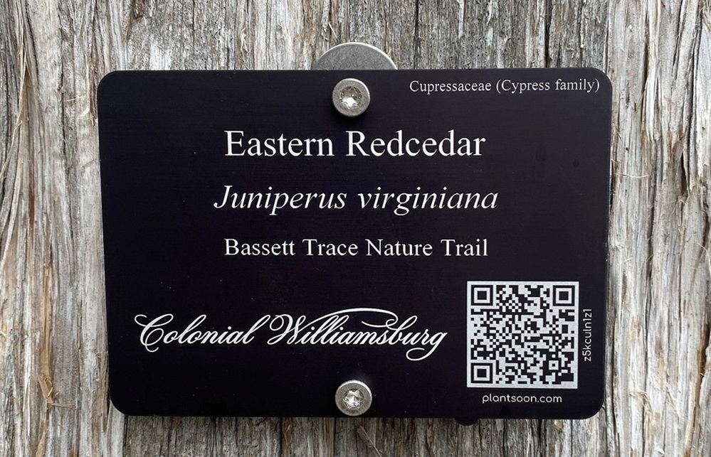 Beautiful, weatherproof plant labels