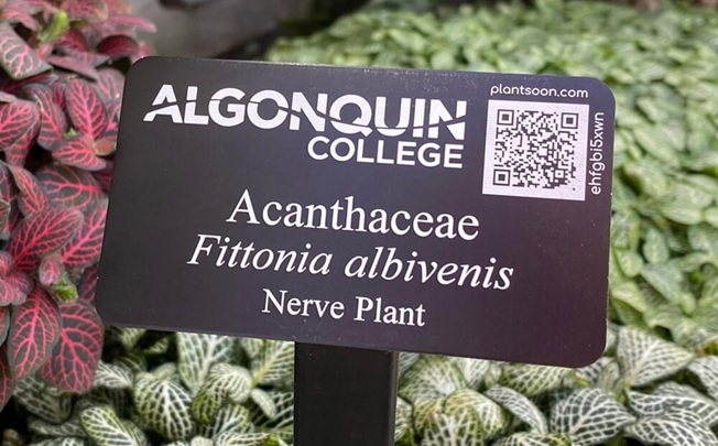 Smart plant labels with QR-code