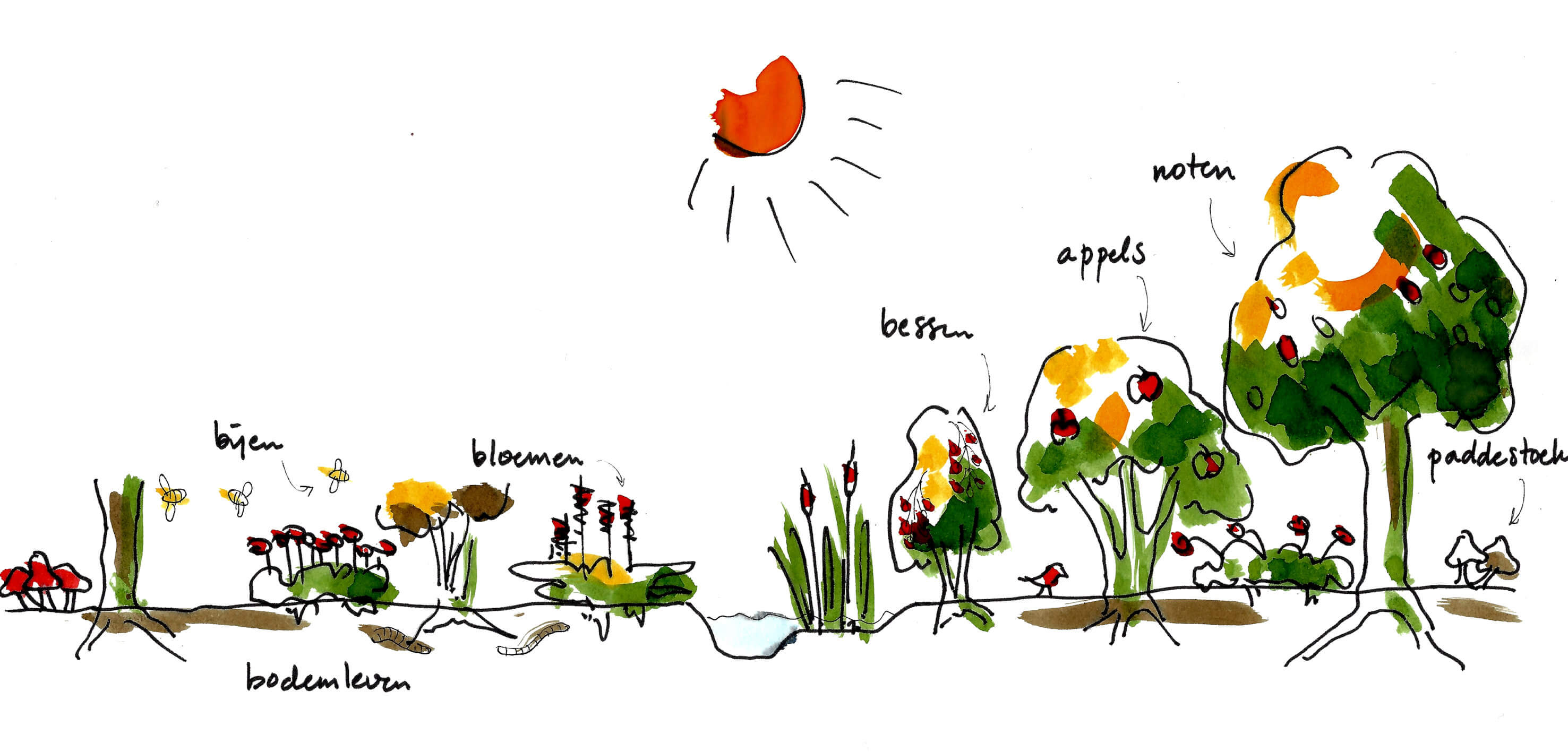 Plantsoon maps the entire ecosystem