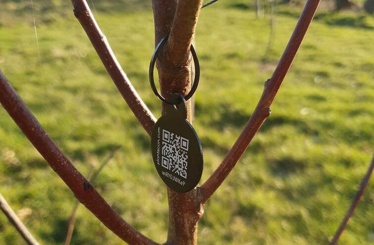 Tree tag with QR code