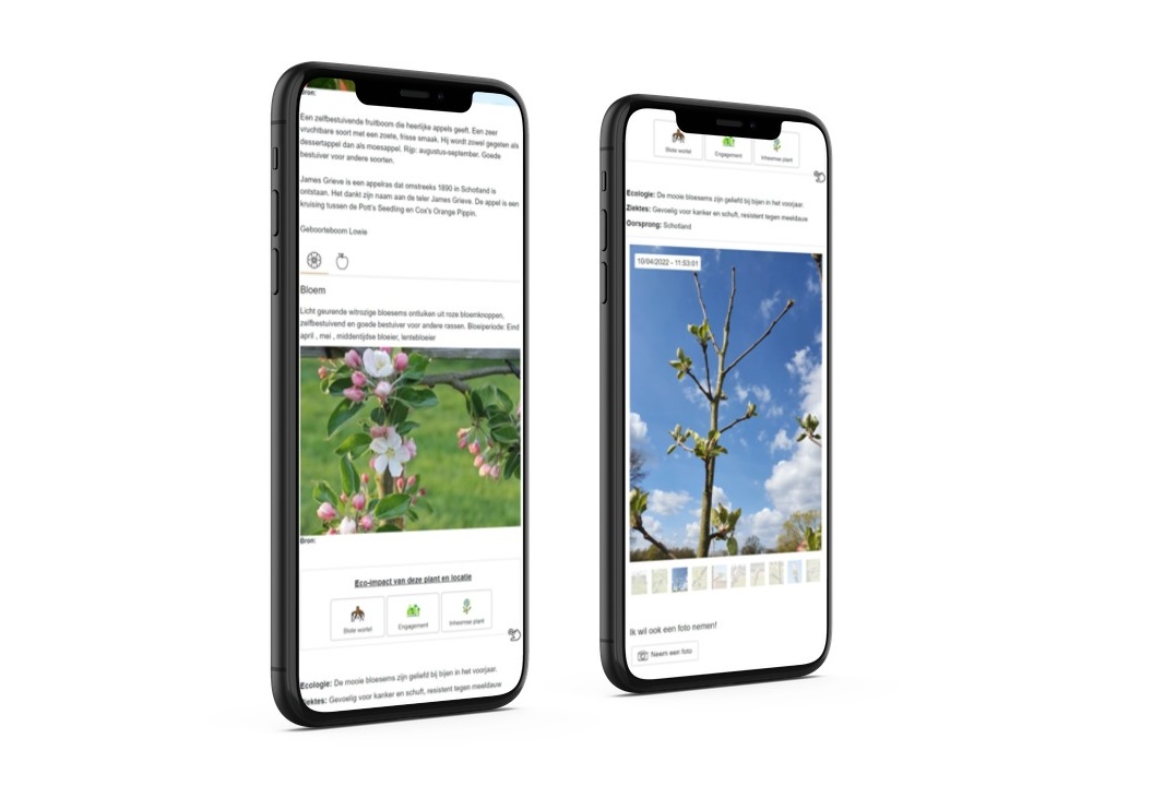 The Plantsoon digital plant passport