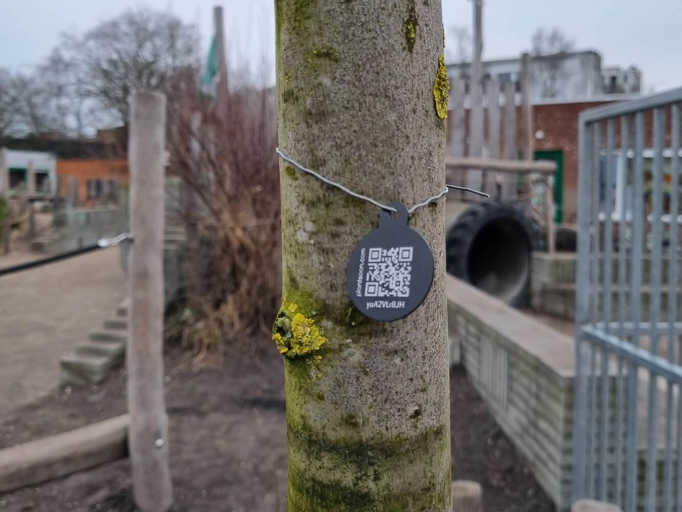Tree tag with QR code