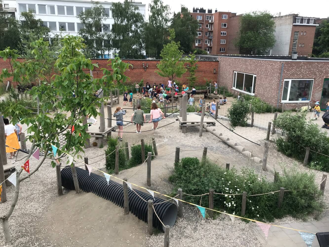 All trees on the playground were tagged
