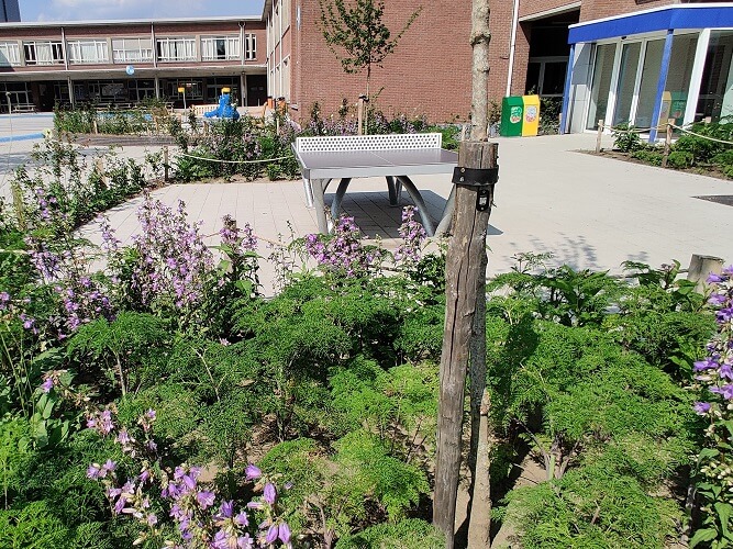 Planting box with labeled tree