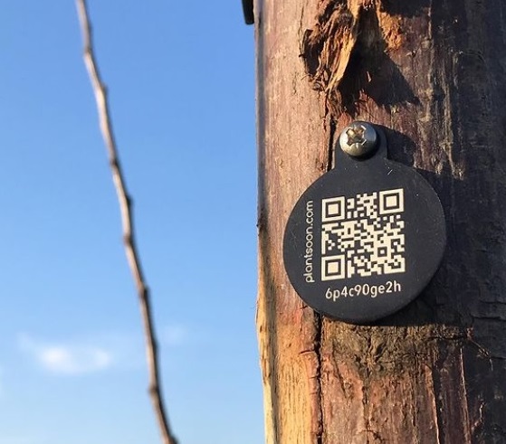 Tree label with QR code