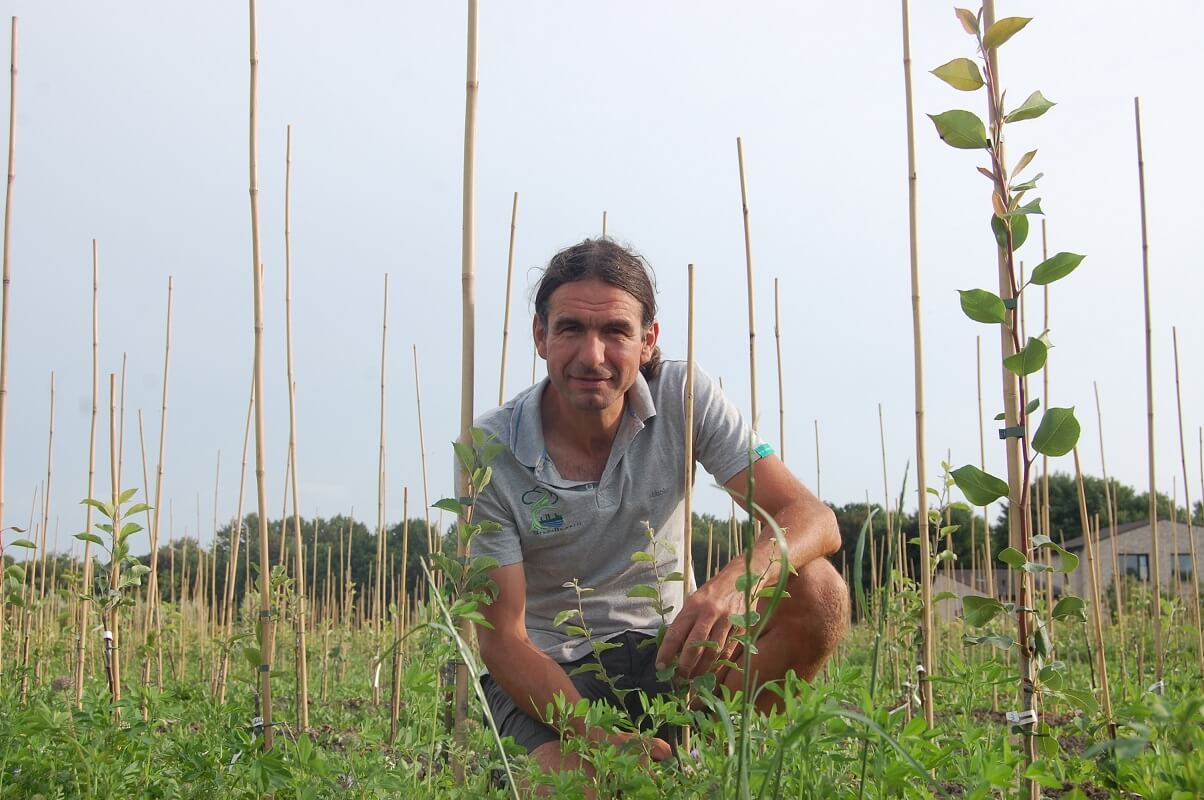 Fruit trees with a story