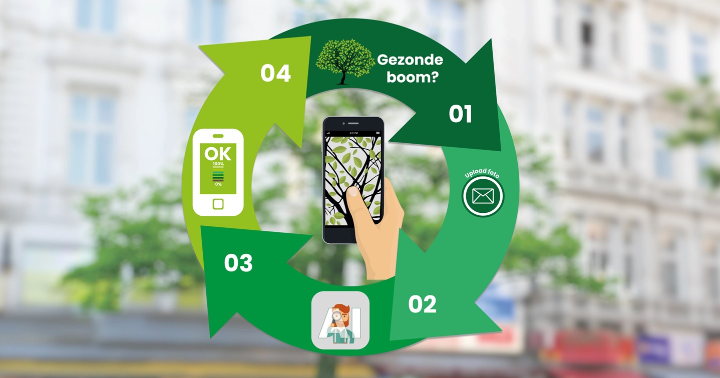 Tree health app - healthy city trees